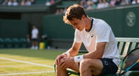 Taylor Fritz loses at Wimbledon after knee tendinitis flares up