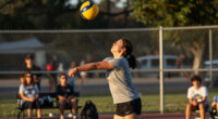 Aces Vs Liberty