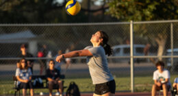 Aces Vs Liberty