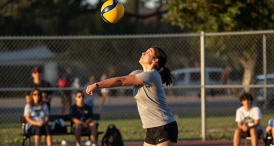 Aces Vs Liberty