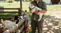 Baby Goats From A Traveling Petting Zoo Test Positive For Rabies