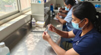 Indian Immunologicals Surges In Global Coverage
