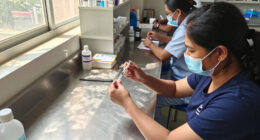 Indian Immunologicals Surges In Global Coverage